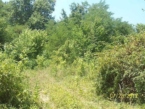 2nd image of 3919 Oak Grove Rd