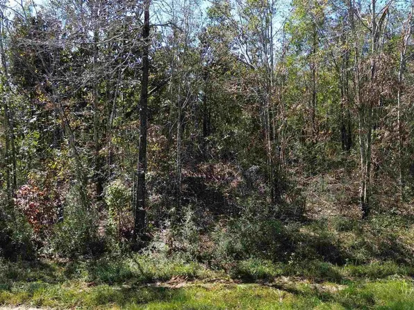 LOT 7A Pineview Church Rd, Jay, FL 32565