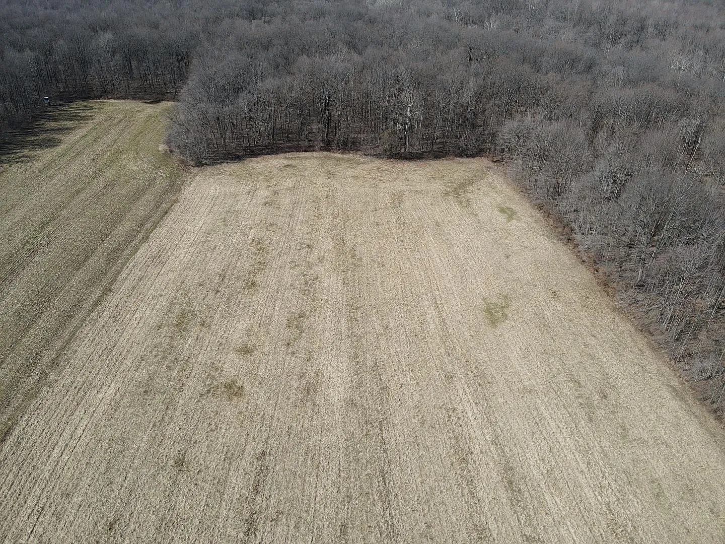 0 N State Road 129 photo 1