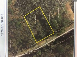 2338 Carter St, Camden, SC 29020