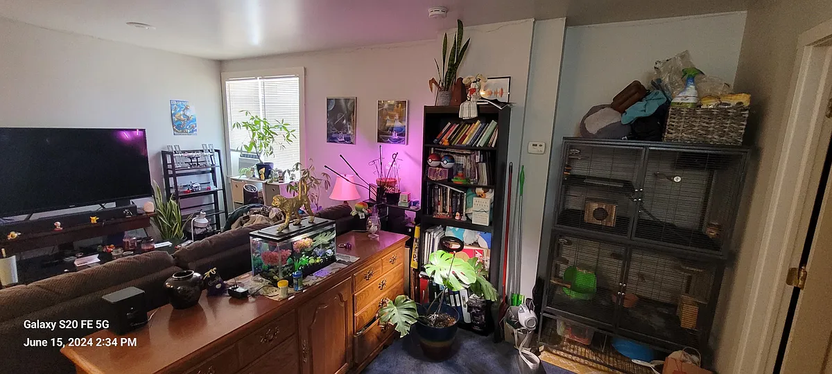 Living Room area - 508 Melwood Ave #1