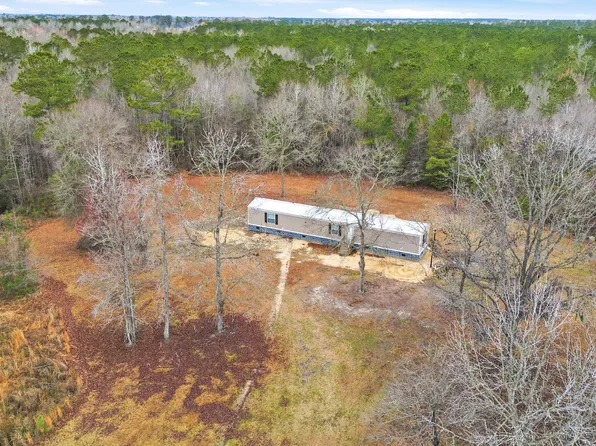 1222 Birch Creek Rd, Andrews, SC 29510