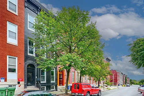 613 N Carrollton Ave #C Photo 1