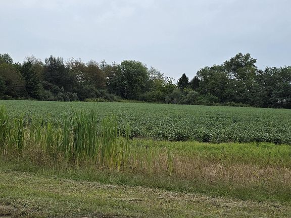 3rd image of 138 Howell Road
