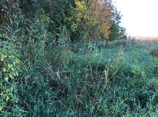 Basil Rd, Swanville, MN 56382