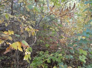 135 Crooked Laurel, Clayton, GA 30525