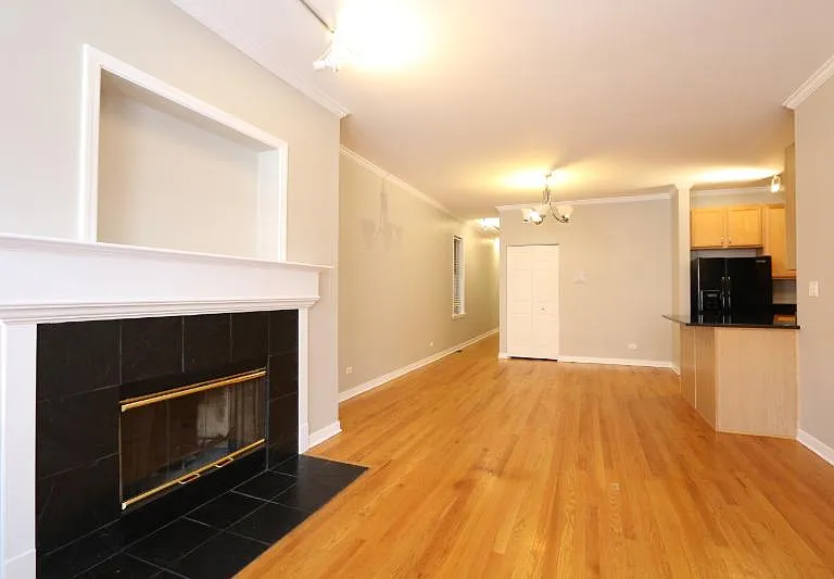 1355 W Fillmore St #1 — Photo 9