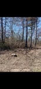 307 Roberts Rd, Hamilton, AL, 35570