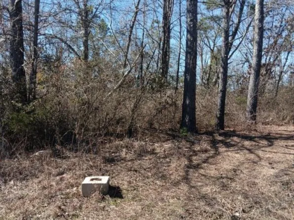307 Roberts Rd, Hamilton, AL 35570
