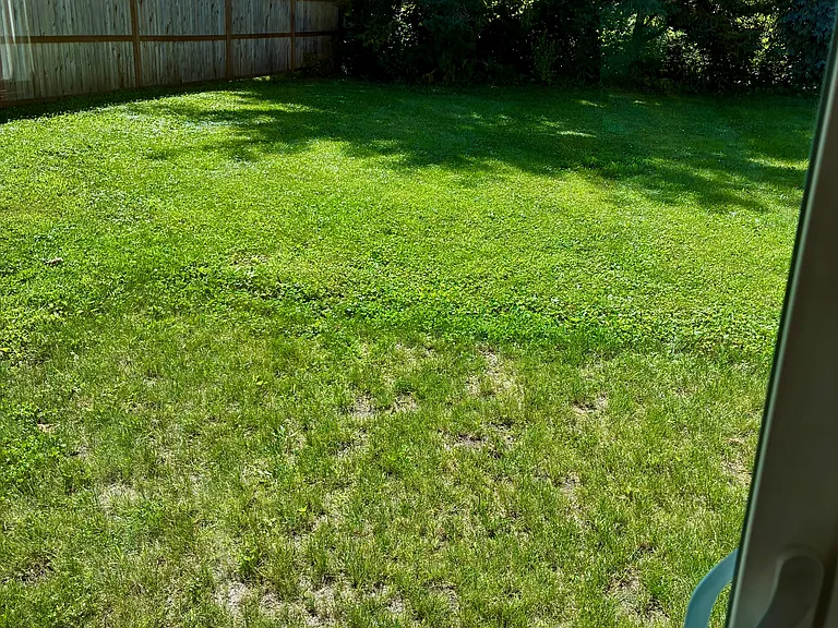 Large back yard