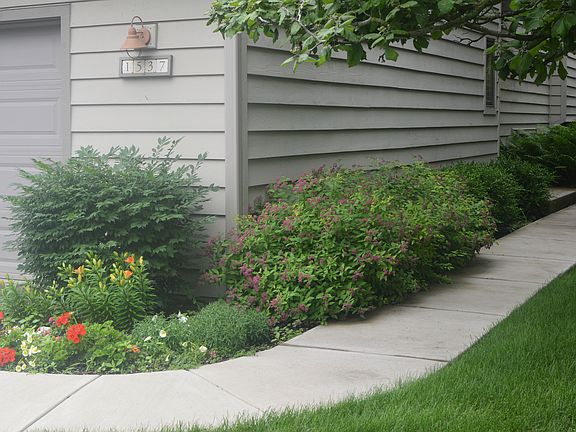 3rd image of 1537 Kirkwood Dr
