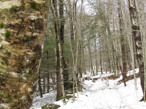 LOT Pynchon Rd #A, Chesterfield, MA 01012