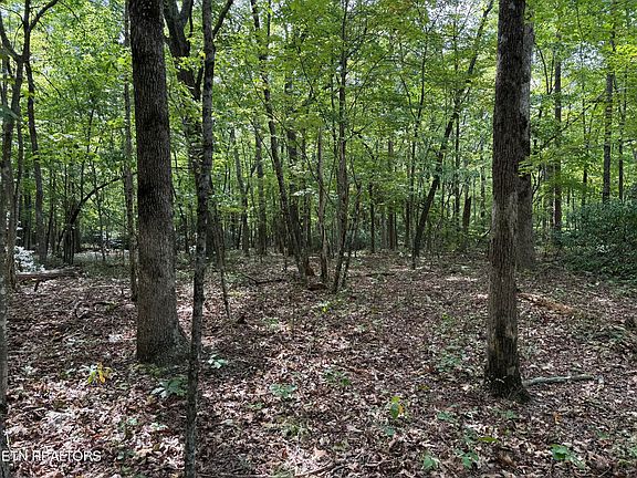 4th image of LOT 6 Tanner Dr