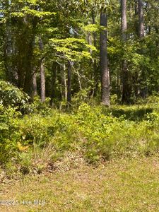 135 Martin Creek Dr Lot 11, Beaufort, NC, 28516