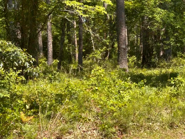 135 Martin Creek Dr Lot 11, Beaufort, NC 28516