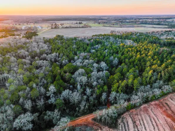 0 County Road 646 #2, Coffee Springs, AL 36318