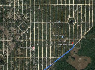 Theresa Ave, Interlachen, FL 32148