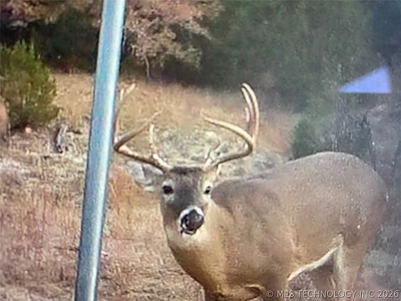 3rd image of 117 S Pickens Rd