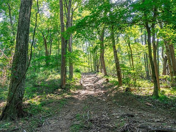 3rd image of 31800 Chestnut Ridge Rd #2