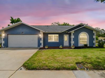 8823 Aruba Ln, Port Richey, FL, 34668