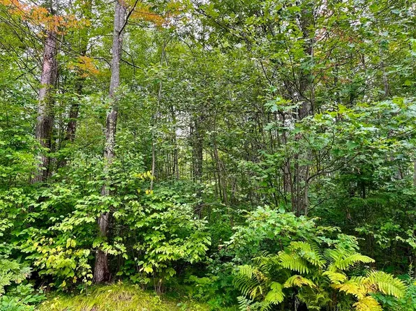 Woodboro Heights Rd, Rhinelander, WI 54501