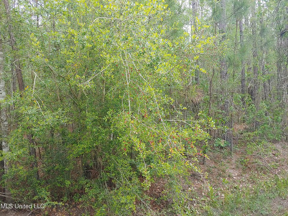 1st image of 6187 E Quitman St #26
