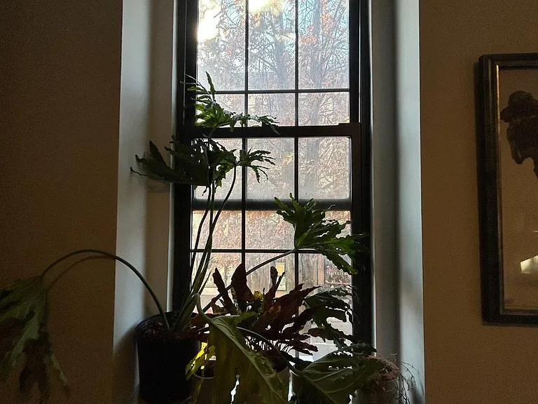 59 W 8th St #3C — Photo 6