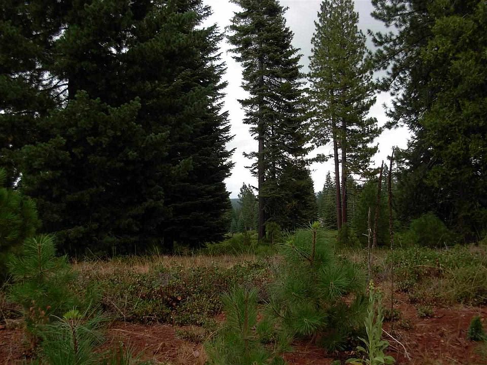 1st image of 24 Bailey Creek Dr