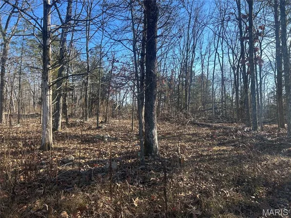 301 Madison St #410, Fredericktown, MO 63645