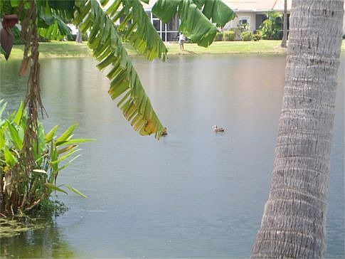 2nd image of 7904 Summer Lake Ct