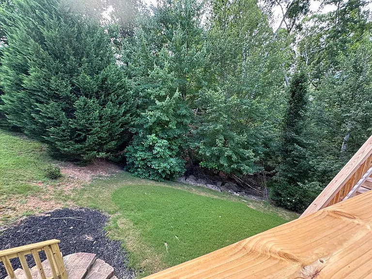 back area has large trees