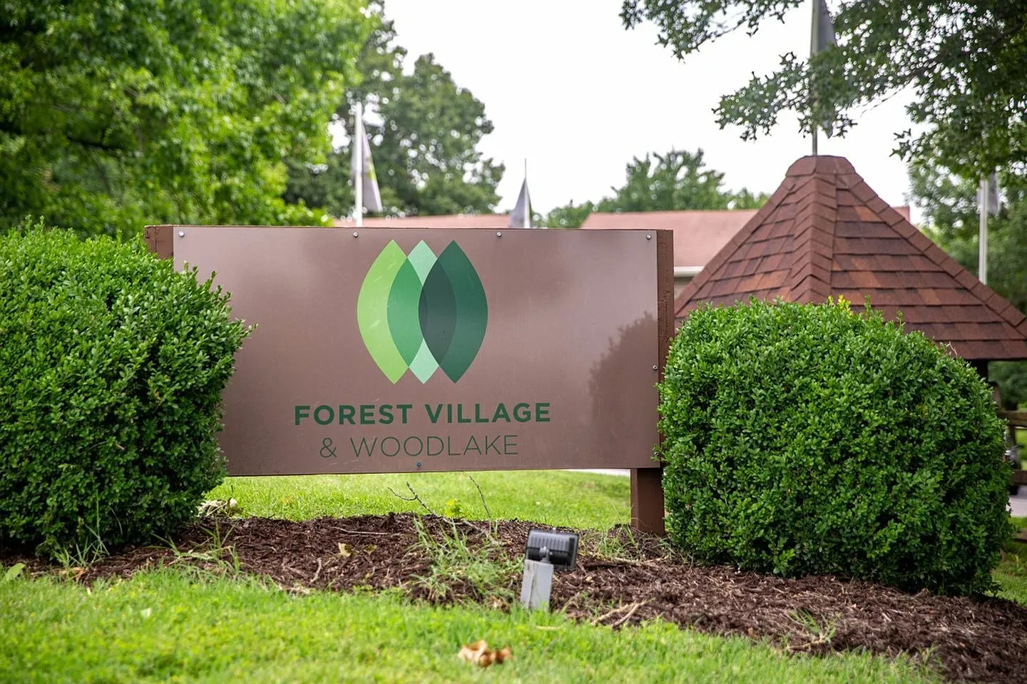 Forest Village — Photo 2