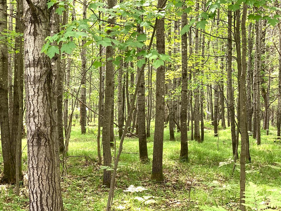 1st image of LOT 4 Riverview Dr