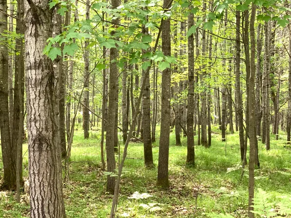 LOT 4 Riverview Dr, Saint Germain, WI 54558