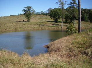 9142 N Us Highway 29, Banks, AL 36005