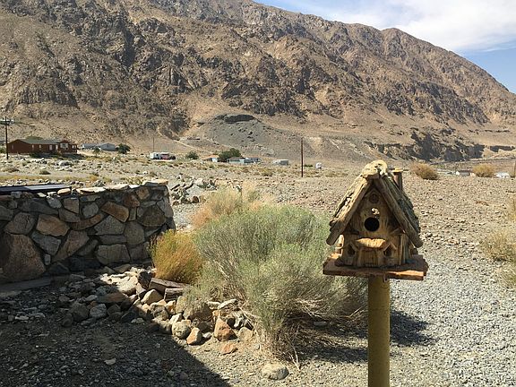 Barbecue area with birdhouse