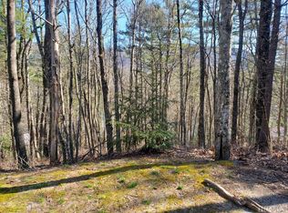 6 Home Ln, Sapphire, NC 28774