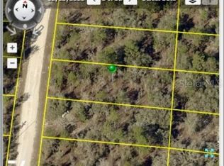 15158 Goldeneye Rd, Weeki Wachee, FL 34614