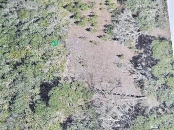 SPRING GARDEN RANCH ROAD, DE LEON SPRINGS, FL 32130