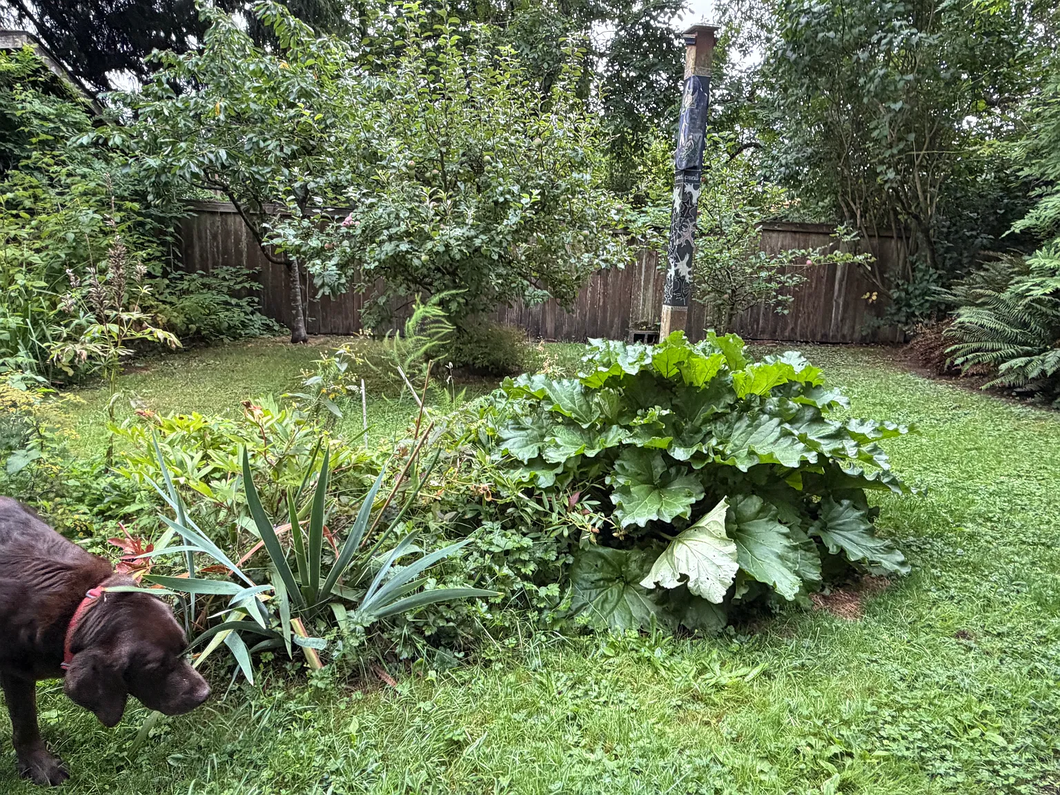 3 bed, 2700 sqft, $2,800 — Photo 3