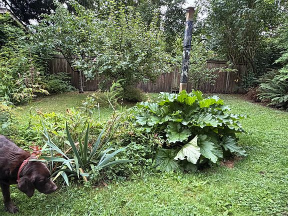 3rd image of 10017 SW 174th St #C/d