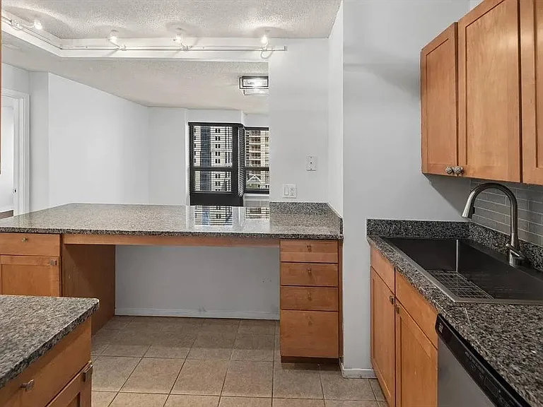 30 E Huron St #908 — Photo 15