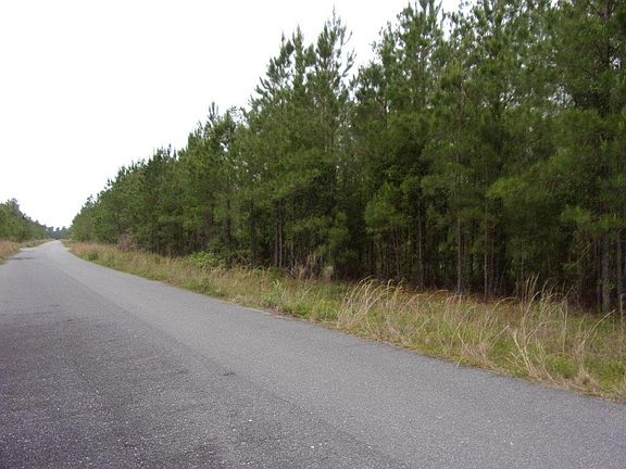 4th image of 160 Satilla Plantation