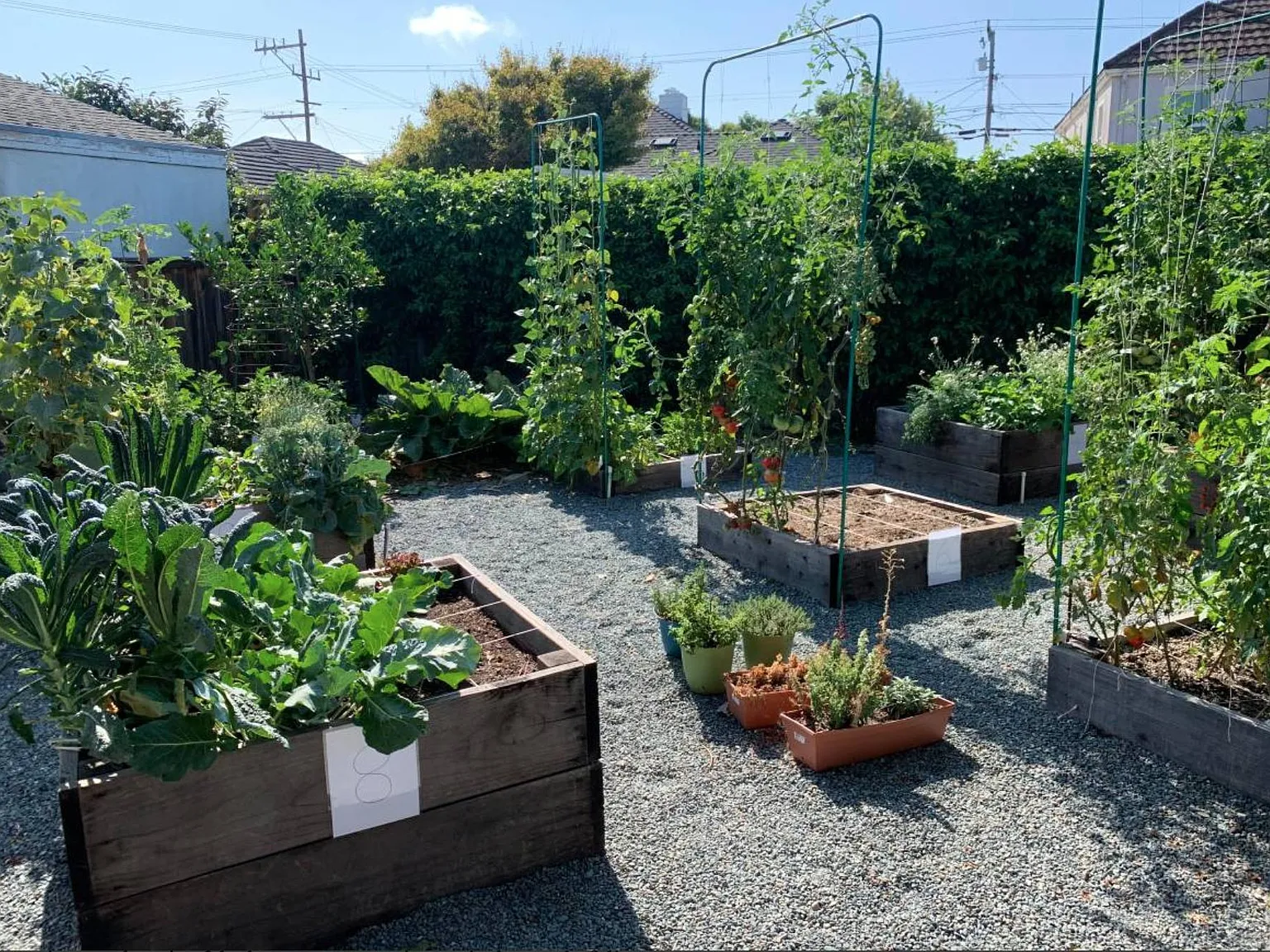 Humboldt Haven — Photo 3