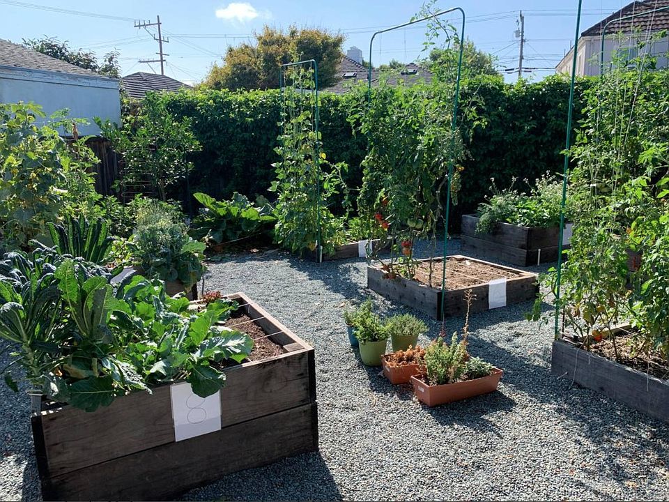 ORGANIC COMMUNITY GARDEN