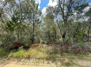 115 S Crestview Ave, Inverness, FL 34452