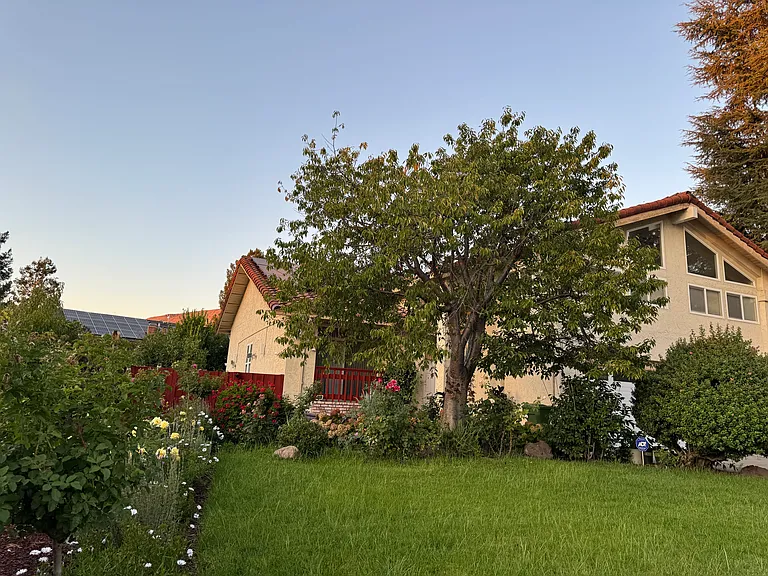 front yard