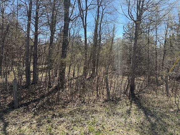 5th image of 590 Love Rd