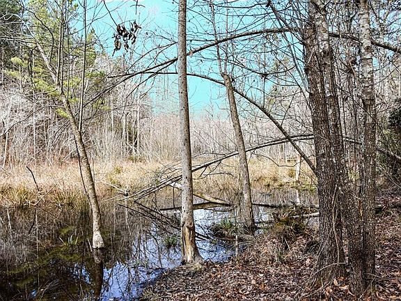 5th image of LOT 4 Little Horse Creek Dr