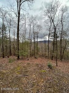 329 Beckett Ridge Rd, Townsend, TN, 37882